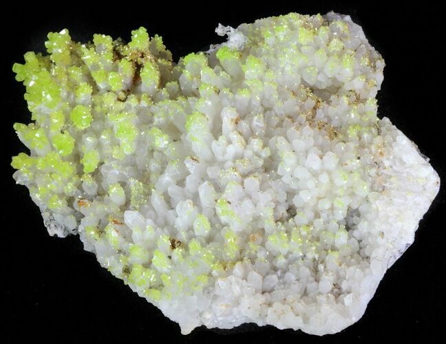 Pyromorphite Crystals on Quartz - China #63699